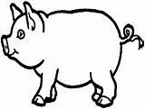 Mewarnai Babi Bergerak Pigs sketch template