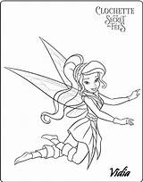 Clochette Vidia Fees Tinkerbell Fee Rosetta Fada Fée Fairy1 Adorable Colorier Forêt Rendre Tenue Hiver sketch template