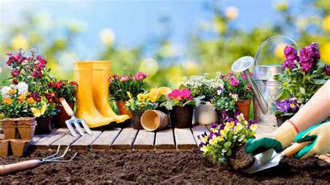 15 Consejos De Jardinería Para Principiantes – The Home Depot Blog