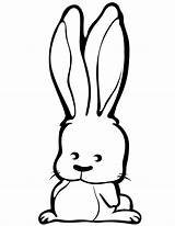 Coloring Bunnies sketch template