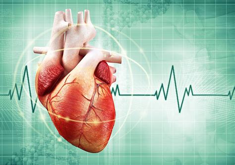 genetic research reveals  frontiers  cardiac care london health