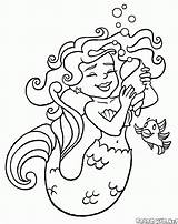 Muschel Meerjungfrau Colorkid Malvorlagen sketch template