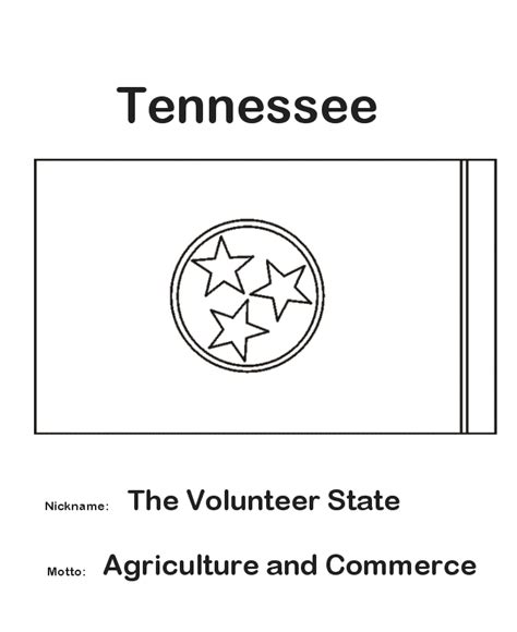 tennessee state flag coloring page prek  visual art center tennessee