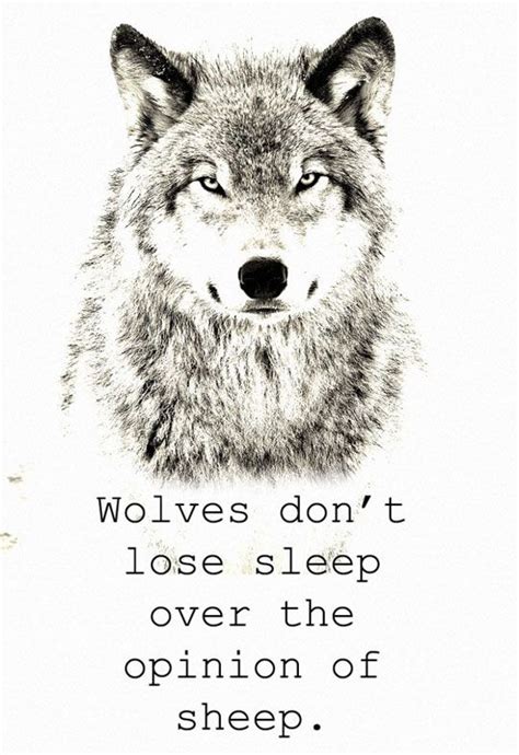 26 best spirit of the wolf within me images on pinterest wolves wolf quotes and wolf spirit