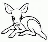 Deer Coloring Baby Pages Printable Kids Drawings Clipart Drawing Cute Easy Animals Animal Draw Color Cartoon Print Sketch Adults Mule sketch template