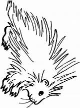 Porcupine Coloring Pages Color Animals Clipart Sheet Book Cliparts Printable Clip Gif Library Town Web Open sketch template