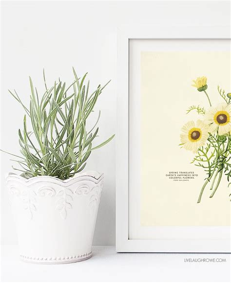 printable wall art choose   spring botanical prints