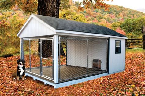 outdoor dog kennel    build   bad      enclose  grassy area