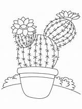 Cactus Barrel Coloring Pages Flower Template sketch template