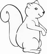 Squirrel Eekhoorn Kleurplaat Preschool Eikel Pbworks Downloaden sketch template