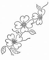 Dogwood Clipart Flowers Embroidery Flower Hand Patterns Clip Vintage Floral Disegni Designs Spray Per Tree Flickr Outline Sew Easy Border sketch template