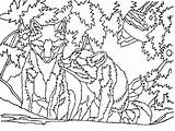 Alaska Zorros Paginas Animales sketch template