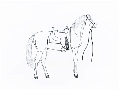 horse  saddle coloring pages book  kids