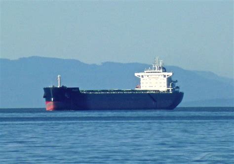 amazon bulk carrier details  current position imo  mmsi  vesselfinder