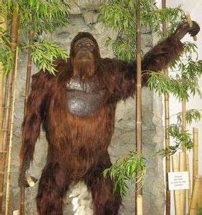 meet gigantopithecus  extinct giant orangutan   jungle book howstuffworks