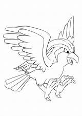 Pokemon Pidgeot Coloring Pages Generation Flying Color Type Kids sketch template