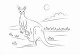 Kangaroo Template Baby Templates Colouring Animal Pages Crafts sketch template