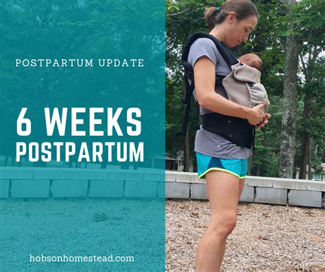 postpartum update 6 weeks postpartum hobson homestead