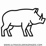 Jabali Colorear Cinghiale Disegno Boar Ultra Ultracoloringpages sketch template