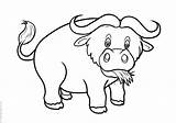 Buffalo Coloring Pages Books sketch template