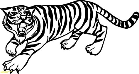 siberian tiger coloring page  getcoloringscom  printable