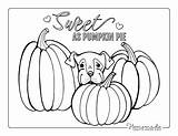 Coloring Pages Thanksgiving Pumpkin Dog Cute Easy Puppy Kids Adults sketch template