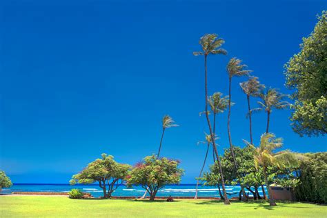 local beach park scene  hawaii  wavees
