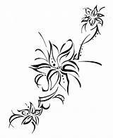 Lily Tattoo Tribal Stargazer Flower Tattoos Sketch Drawing Lilly Designs Lilies Deviantart Women Cliparts Hawaiian Tiger Tattoosforyou Clipart Meaning Clip sketch template