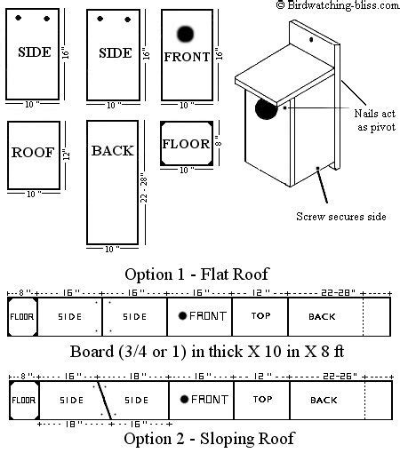 american kestrel nest box plans   build   place hole size wood thickness
