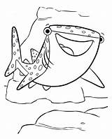 Shark Whale Dory Destiny Finding Childhood Pages2color Cookie Copyright sketch template