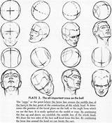 Anatomy Loomis Angles Quora Forms Jaw sketch template