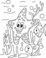 Coloring Starfish Fish Pages Kids Printable Animal Sea Along Other Sheets Colouring Star Ocean Wodne Zwierzęta Kolorowanki Cartoon Labels Letscolorit sketch template