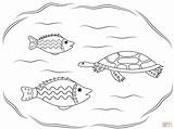 Aboriginal Turtle Fishes sketch template