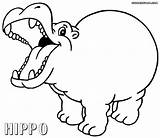 Hippopotamus Coloring Pages Colorings sketch template