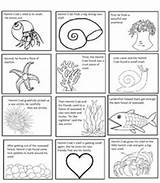 Crab Hermit Eric Carle Preschool Sequencing Ocean Crabs Storie Squares Paste Freebie Craftivity sketch template