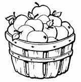 Apples Basket Bushel Surfnetkids Frutta Invernale Kleurplaten Uniquecoloringpages Afkomstig sketch template