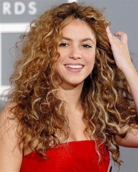 20 Hairstyles For Curly Frizzy Hair Womens The Xerxes