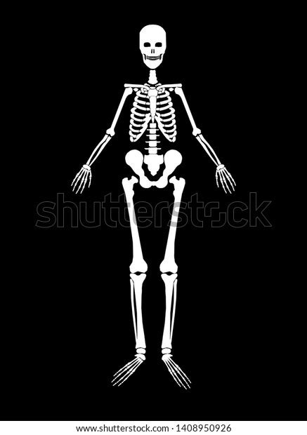 vector skeleton ballerina dancing silhouette halloween