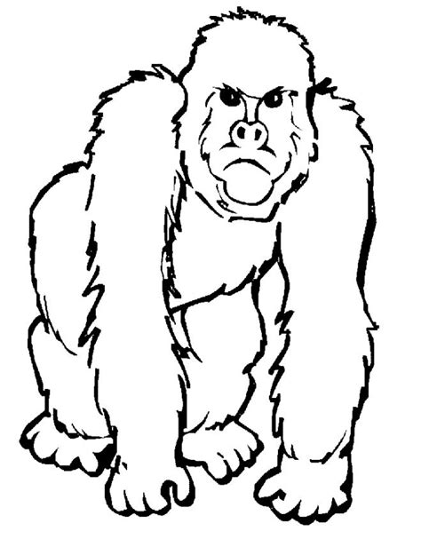 ape coloring pages  coloring pages  kids   animal