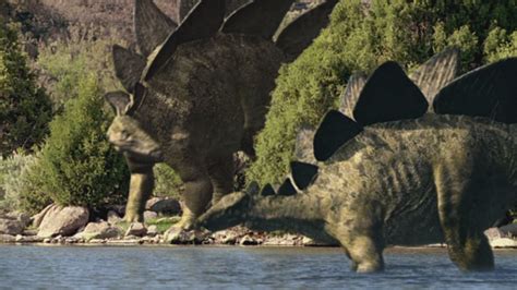 stegosaurus walking  dinosaurs wiki