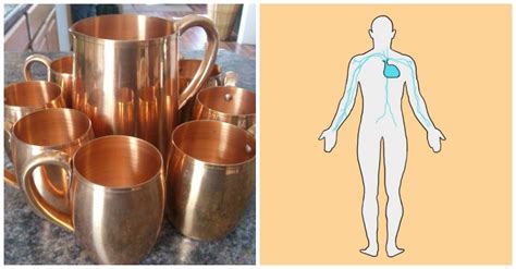 reasons  drinking   copper cup daily  change