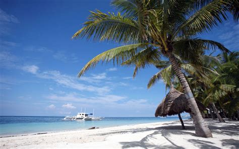 pictures  bohol island philippines world travel destinations
