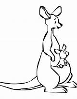 Coloring Roo Kanga Pages Kangaroo Colouring Pooh Printable Popular Clipartmag Books Clipart Template Coloringhome sketch template