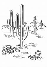 Kaktus Scorpion Saguaro Coloringhome Parentune Coloringpages sketch template