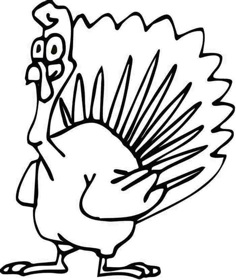 thanksgiving turkey coloring pages  kindergarten clipartsco