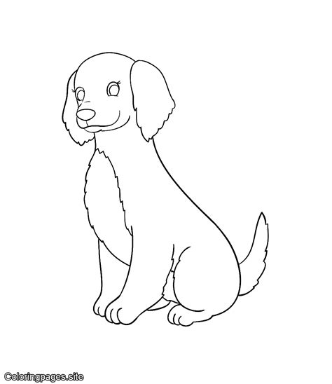 beautiful labrador dog coloring page puppy coloring pages dog