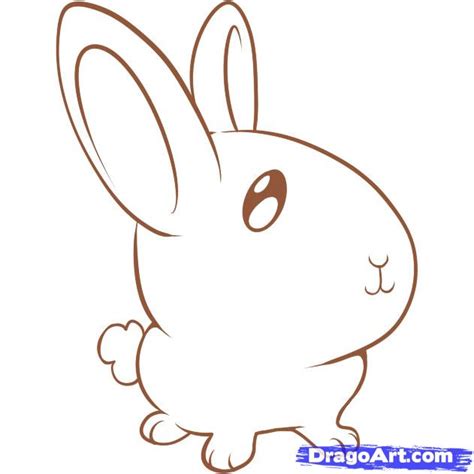 draw simple animals step  step cartoon animals animals