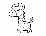 Giraffe Jirafa Colorear Para Dibujo Presumida Vain Coloring Dibujos Animales Bebe Coloringcrew Animals Lana sketch template