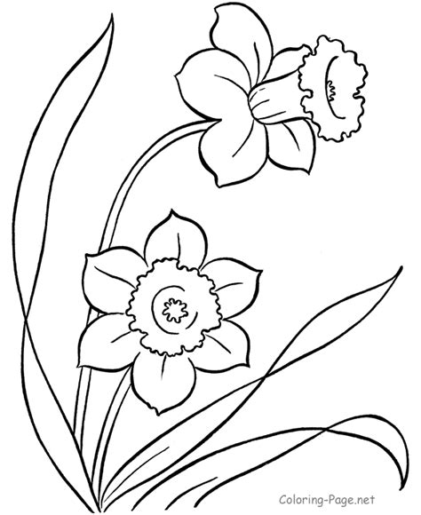 spring flower coloring page flower coloring page