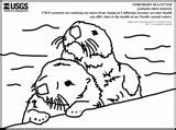 Otters Unto sketch template